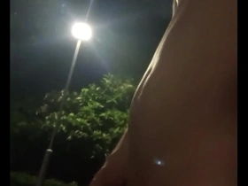 Public park walk in the nude of an Asian woman