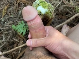 Cum on tree trunk in the mountains